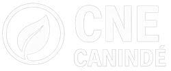 CNE Canindé